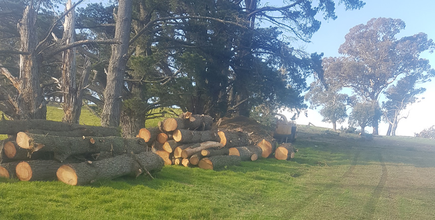 Tree Services Aberfoyle Park, Stump Grinding Reynella, Tree Removal Happy Valley, Tree Pruning Woodcroft, Tree Felling Happy Valley